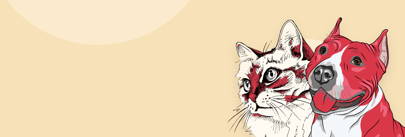 Home-banner-1