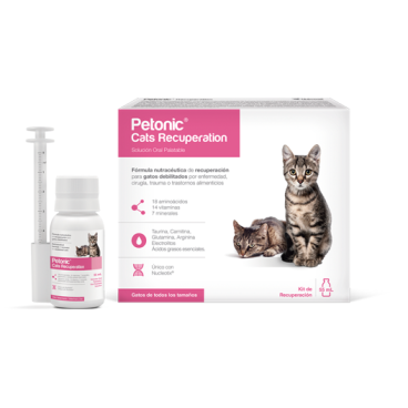 Petonic Cats Recuperation 55 ML