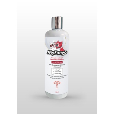 My Funggo Shampoo