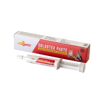 Colostek Paste For Healthy Start and Strong Immunity for Newborn Kittens 15ml