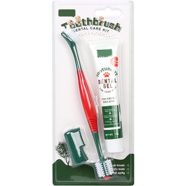 Toothbrush with Toothpaste (Dental Care Kit)