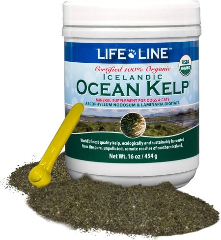 Life Line Organic Ocean Kelp