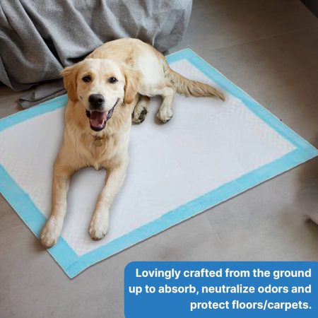 "Pee pad XL size 60*90cm 20 pieces in a plastic bag (I06860)