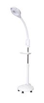 LED Light