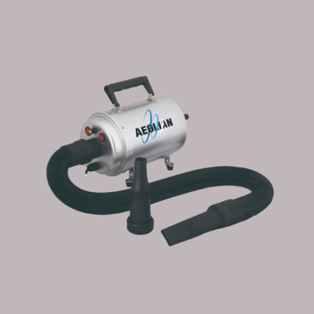 Aeolian Blaster Dryer