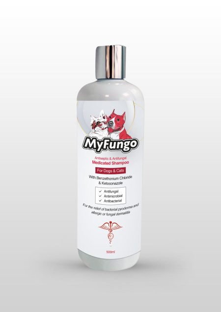 My Funggo Shampoo