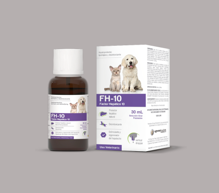 FH-10