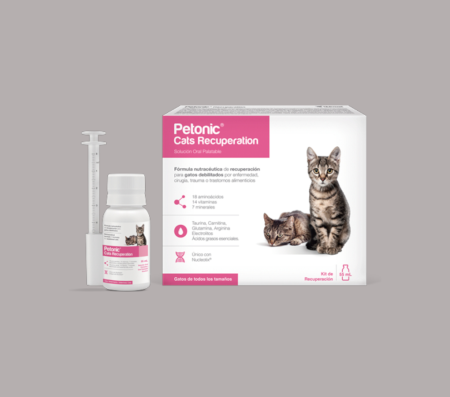 Petonic Cats Recuperation 55 ML