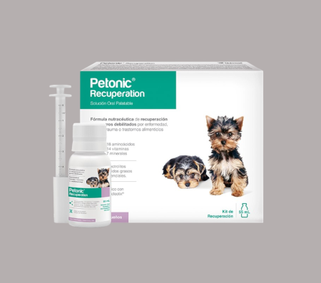 Petonic Dog recuperation 55ML