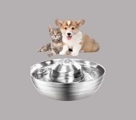Stainless Steel 360 Water Feeder