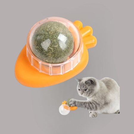 Catnip Ball Wall Mounted for Cats