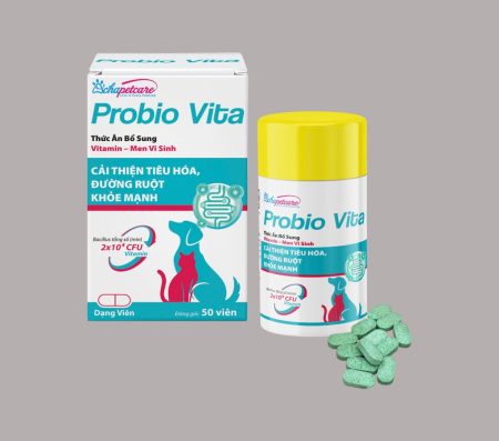 PROBIO VITA tablet (probiotic)