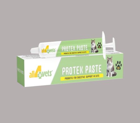 Protek paste 15 ml for cats (probiotic for digestive support)