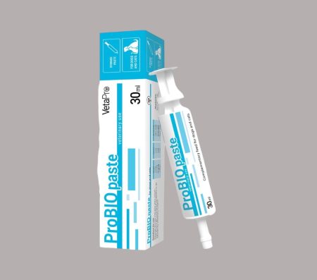 ProBIO Paste 30 ml for dogs and cats