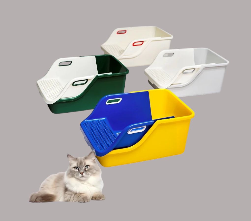 WhatsApp Image 2026-01-07 at 12.12.58 PM