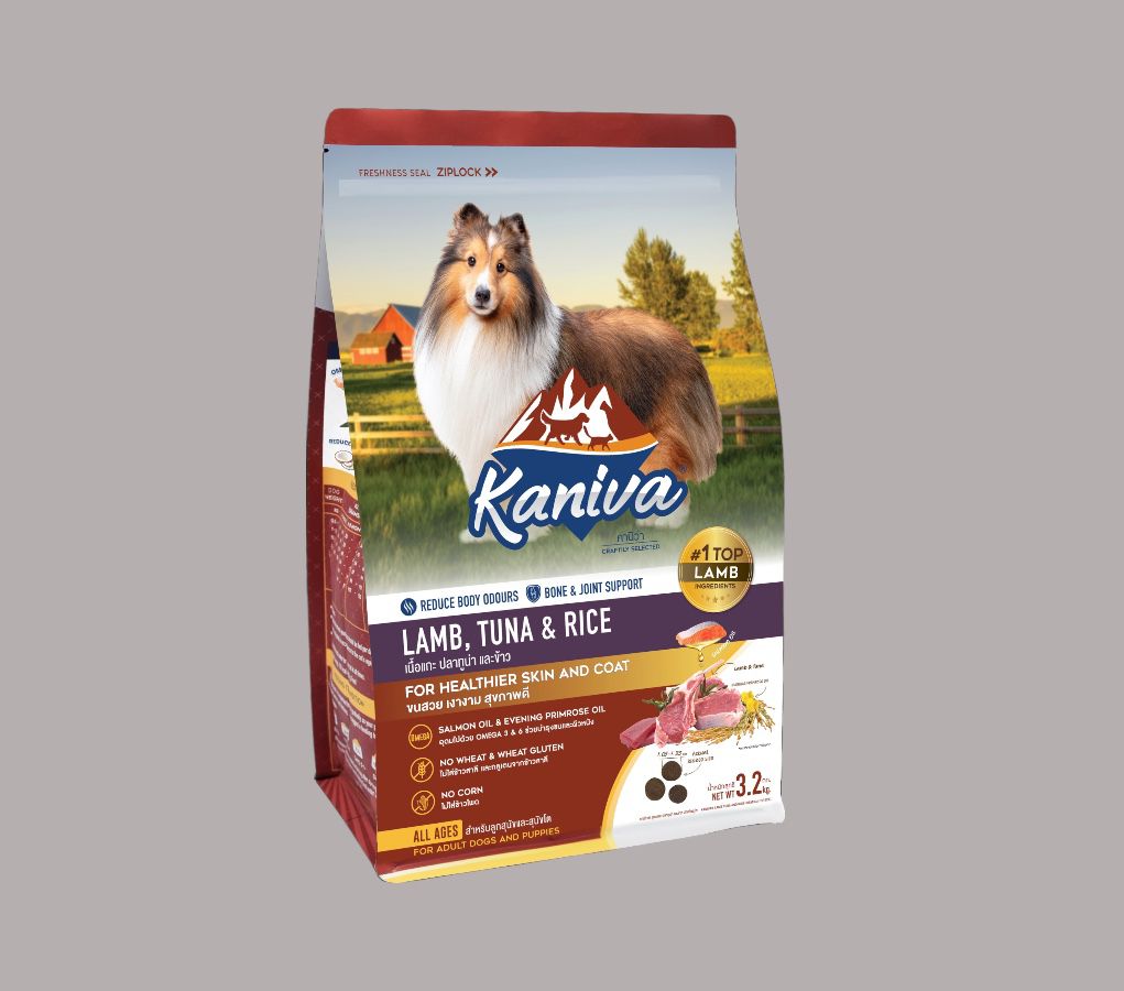 WhatsApp Image 2026-01-13 at 1.01.40 PM