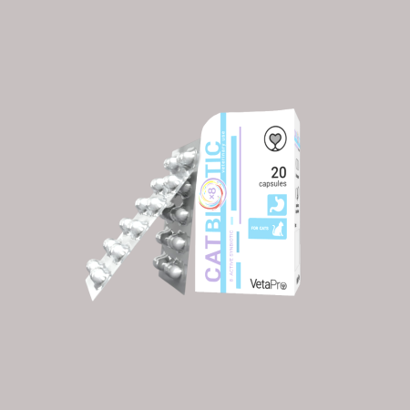 Cat Biotic 20 Capsule