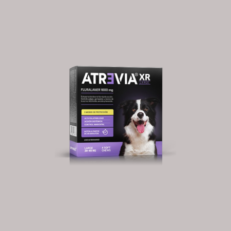 Atrevia Xr Large (20-40KG)
