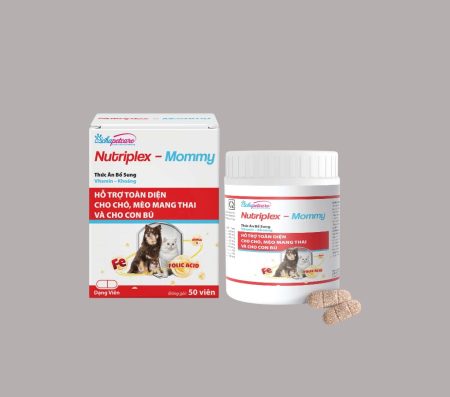 Nutriplex Mommy 50 tablet (folic acid -iron -vit C -E-B1-B6-B5)
