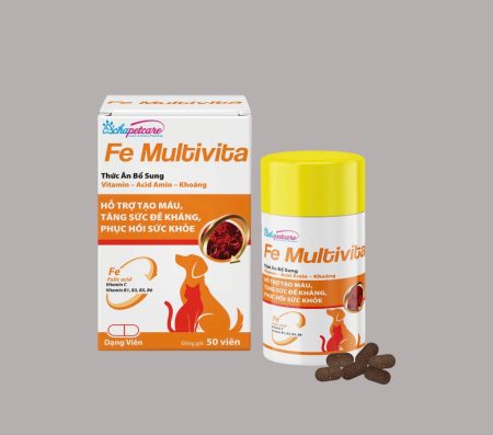 Fe Multivita (Folic Acid + Vit C +Vit B Complex) 50 Tablets