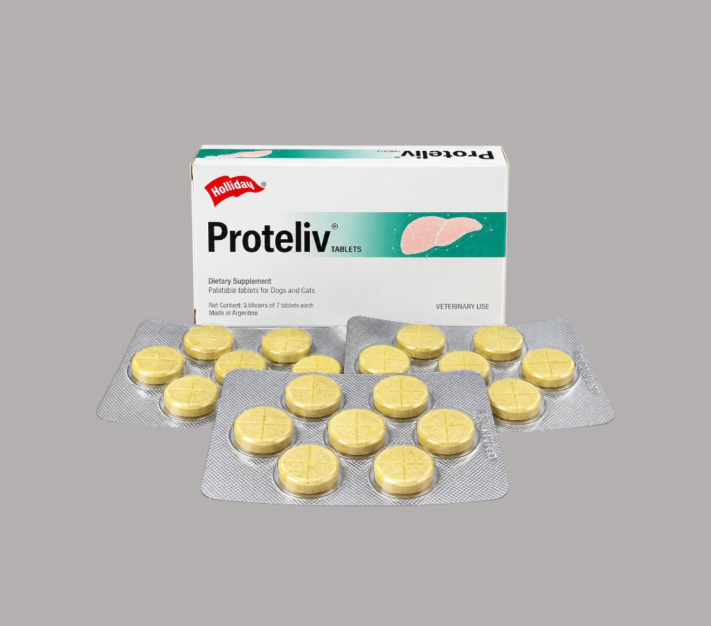 Proteliv tablet box of 21 tablets (alpha lipoic acid -choline- methionine)