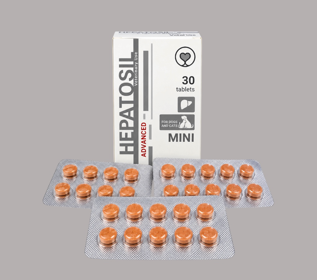 HEPATOSIL ADVANCED 30 TABLETS FOR dogs and cats