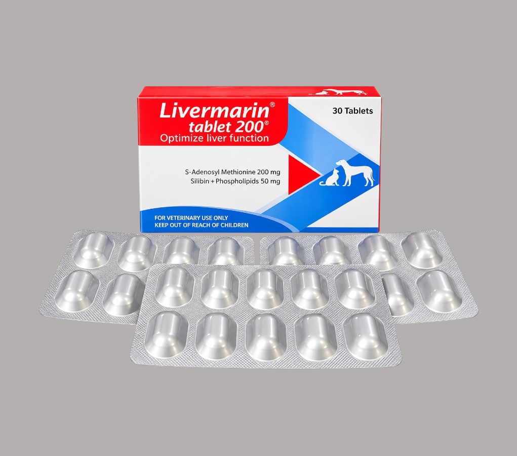 livermarin tablet 200( box of 30 tabs)