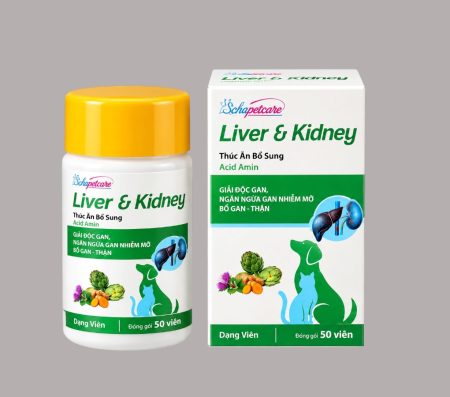 LIVER & KIDNEY (methionine +arginine) tablet