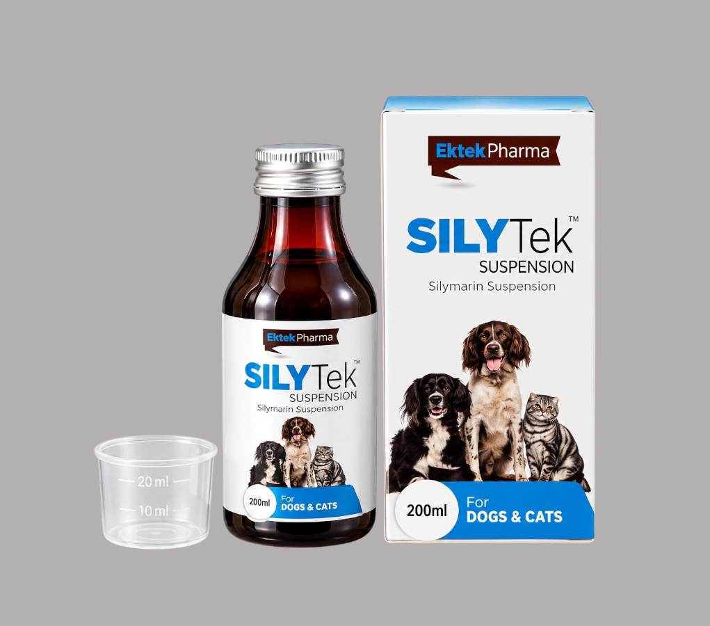 SILYTEK SUSPENSION 200 ML (Silymarin suspension)