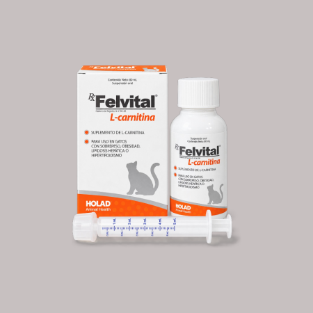 Felvital L-Carnitina syrup 80 ml
