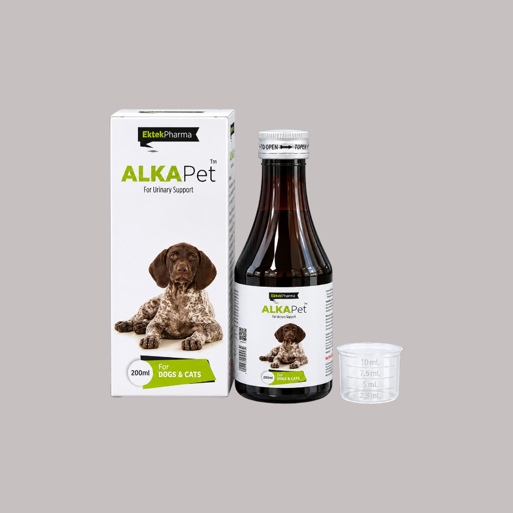 alkapet