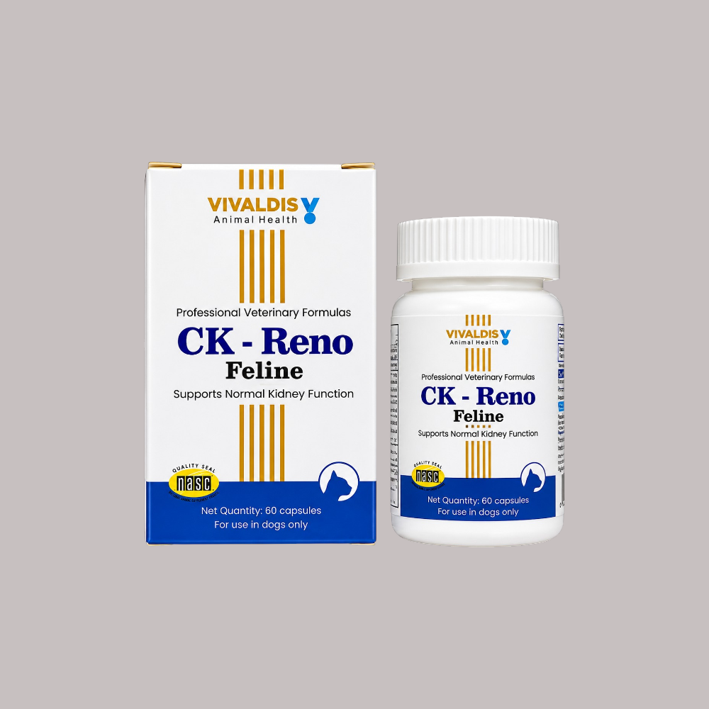 ck-reno feline (1)