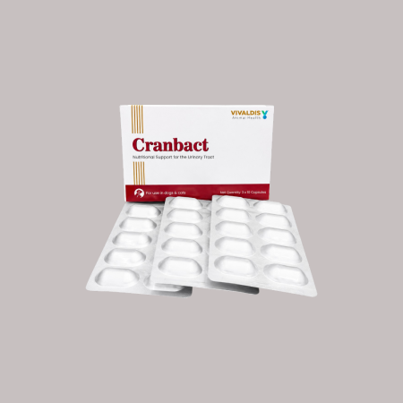 Cranbact 30 capsule