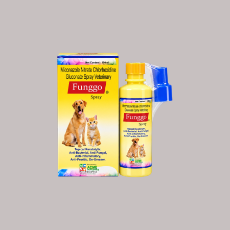 Funggo Spray 100ml