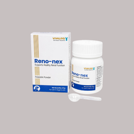 RENO-NEX POWDER 20GM (Support Healthy Renal Function)